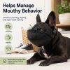 Anti scavenging dog muzzle for walks and outdoor safety