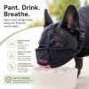 Breathable basket muzzle for safer daily walks
