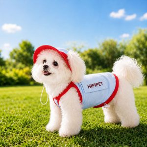 Dog Cooling Vest and Sun Hat Set – Keep your dog cool and comfortable during hot summer walks.