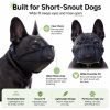 Dog muzzle for grooming vet visits and supervised care