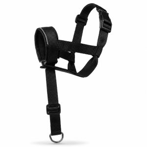 No-Pull Dog Head Halter for Daily Walks - Adjustable Padded Training Muzzle to Help Reduce Pulling