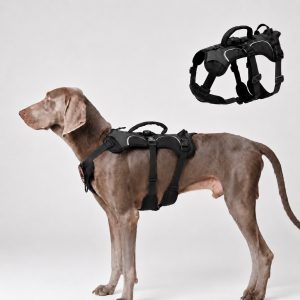 AirTag-Compatible Escape-Resistant Dog Harness for Outdoor Walks - Secure Control for Dogs That Pull