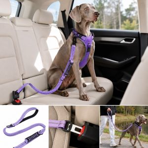 Reflective Dog Car Seat Belt Leash for Backseat Travel & Daily Walks - Shock-Absorbing Bungee Tether to Help Reduce Pulling & Driver Distraction