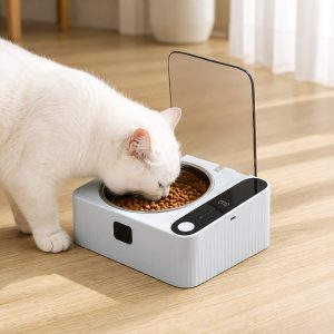 Smart motion sensor covered cat bowl for cleaner indoor feeding.