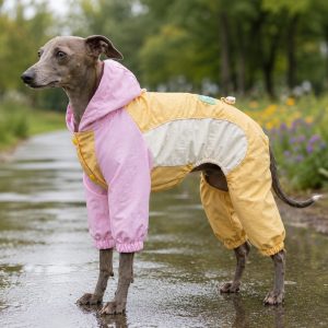 Waterproof Dog Rain Suit for Rainy Walks - Full-Body Mud & Splash Protection
