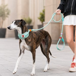 Anti-Choke Dog Leash for Everyday Walks - Padded Neck Protection & Better Control for Pullers