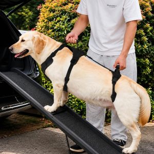 Full-Body Dog Lift Harness for Large Dogs - Front & Rear Mobility Support for Stairs, Car Ramps and Weak Hind Legs