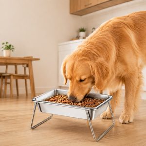 Elevated 304 Stainless Steel Pet Bowl with Stand for Cats & Dogs - Anti-Tip Raised Feeder for Cleaner Meals