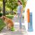 Size S (for dogs under 33 lbs + 60 poop bags + 4 replacement tapes)