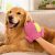 Rose Pink