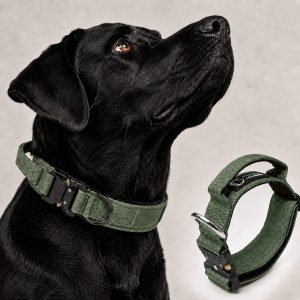 Large Dog Tactical Collar with Control Handle - Secure Grip for Walks, Training & Strong Pullers