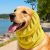 Bright Yellow
