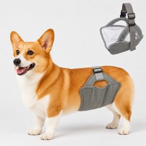 Reusable Female Dog Diaper for Heat Cycles - Adjustable Washable Sanitary Pants for Home & Travel