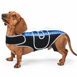 SpineGuard Dog Back Support Vest for Dachshunds & Corgis - Adjustable Spinal Support Brace for Senior Dogs, Recovery Days & Gentle Walks