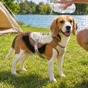 Water-Activated Dog Cooling Sun Vest for Summer Walks, Camping & Outdoor Heat Relief