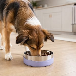 Lavender weighted non-slip stainless steel pet bowl for dogs and cats