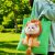 Green Lion Cat Bag