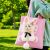 Korean Pink Bunny Cat Bag