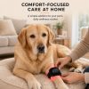Dog wearing rechargeable red light leg wrap during supervised at-home routine