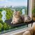 Black Breathable Mesh Cat Hammock