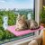 Pink Breathable Mesh Cat Hammock
