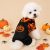 Orange Pumpkin