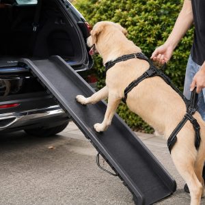 Full Body Dog Lift Harness for Stairs & Car - Mobility Support for Weak Hind Legs